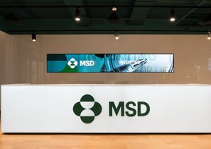 Как новый офис MSD помог понизить уровень стресса сотрудников