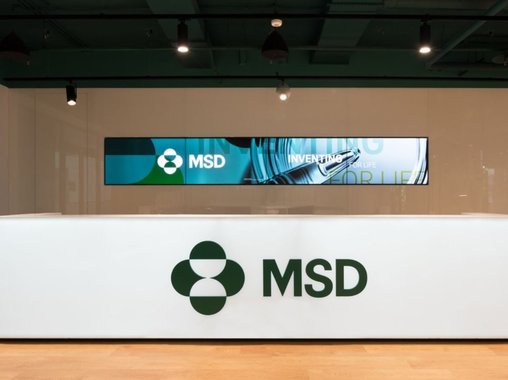 Как новый офис MSD помог понизить уровень стресса сотрудников